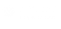 Отель Амира парк