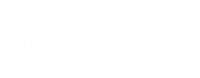 Отель Амира парк